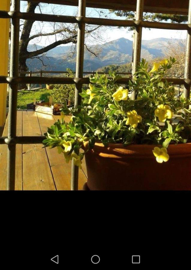 Elsa House Bed & Breakfast Mezzanego Eksteriør bilde