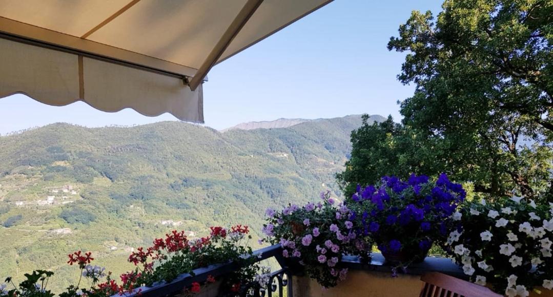 Elsa House Bed & Breakfast Mezzanego Eksteriør bilde