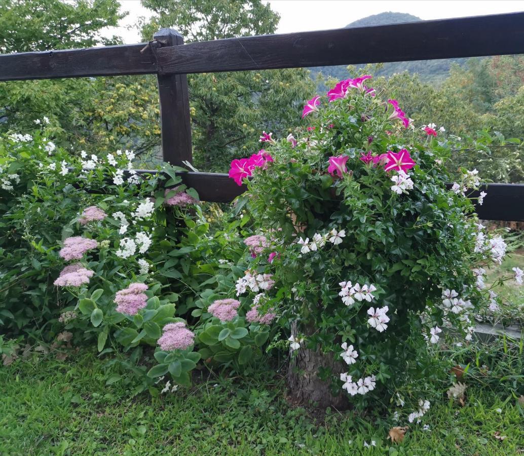 Elsa House Bed & Breakfast Mezzanego Eksteriør bilde