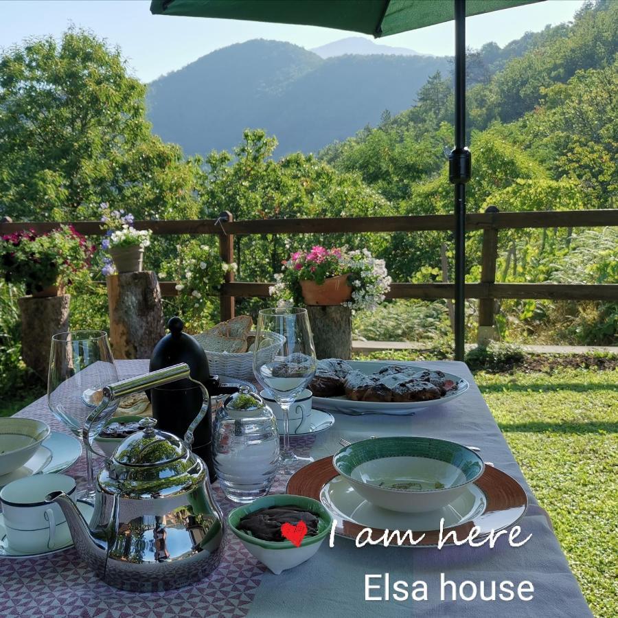 Elsa House Bed & Breakfast Mezzanego Eksteriør bilde